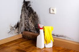 Best Mold Removal for HVAC Installations  in Lakeland South, WA